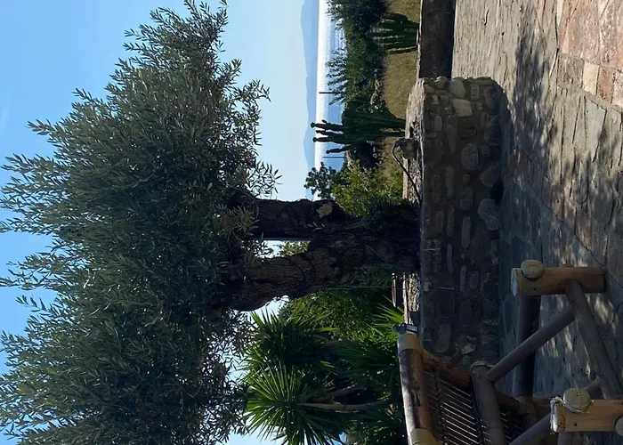 Il Mulino Country 3* טרביסאצ'ה