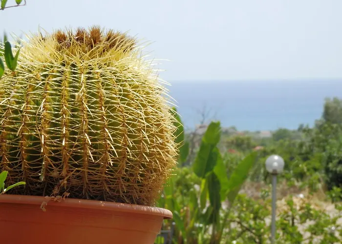 Il Mulino Country 3* טרביסאצ'ה